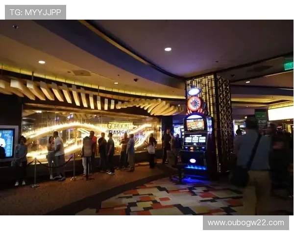 真人赌城：从入门到高手，全面解析真人赌场的策略与玩法提升技巧